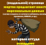 JPG Файл - ОМВД Татищевского района 